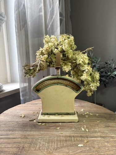 Vintage salter kitchen scale - vintage,